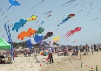 Gold Coast International Festival Of Kites