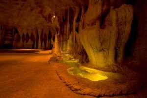 Tamborine Mountain Glow Worm Caves