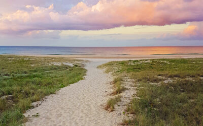 Relax on the Beach This School Holiday with Our Bilinga Beach Resort
