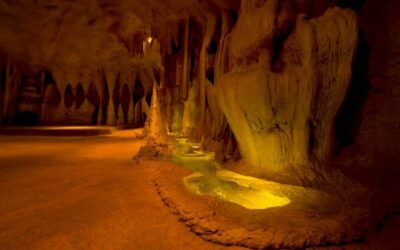 Glow Worm Cave and Natural Bridge Tour